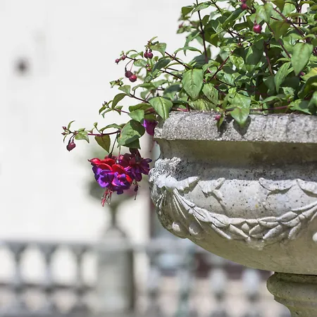 ニュービー ブリッジ ニュービー・ブリッジ