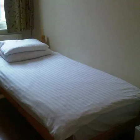 ニュービー ブリッジ ニュービー・ブリッジ