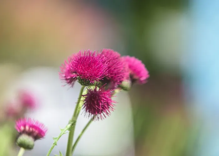 Hotel Newby Bridge Hotel